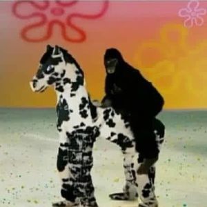 Meet your Posher, Logan